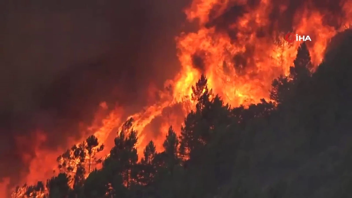 İspanya\'nın Valencia bölgesinde 10 bin hektardan fazla alan yandı