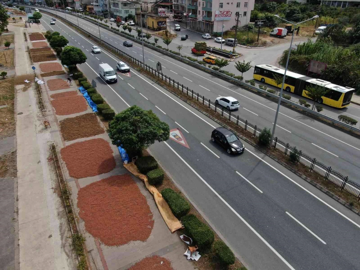 Karadeniz Sahil Yolu fındıkçılar için harman yeri oldu