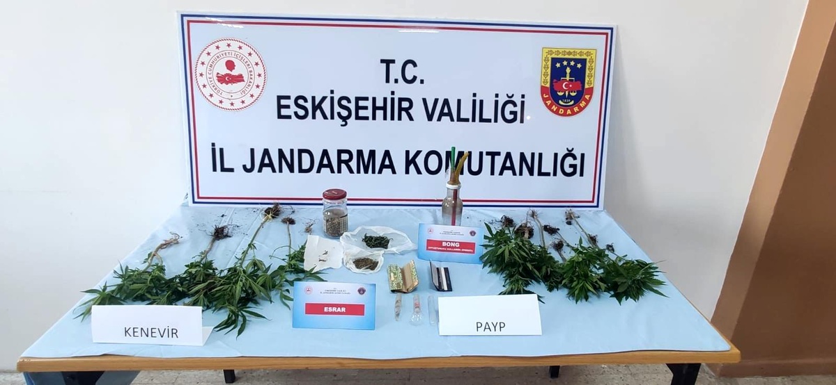 Kenevir bitkisi yetiştirilen eve jandarma operasyonu