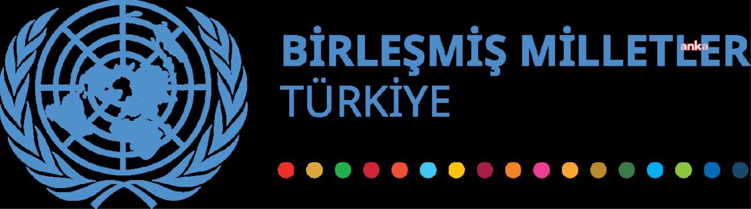 Müşterek Koordinasyon Merkezi, Bugünden İtibaren Ukrayna\'dan Hareket Etmesine İzin Verilen Gemileri Duyurdu