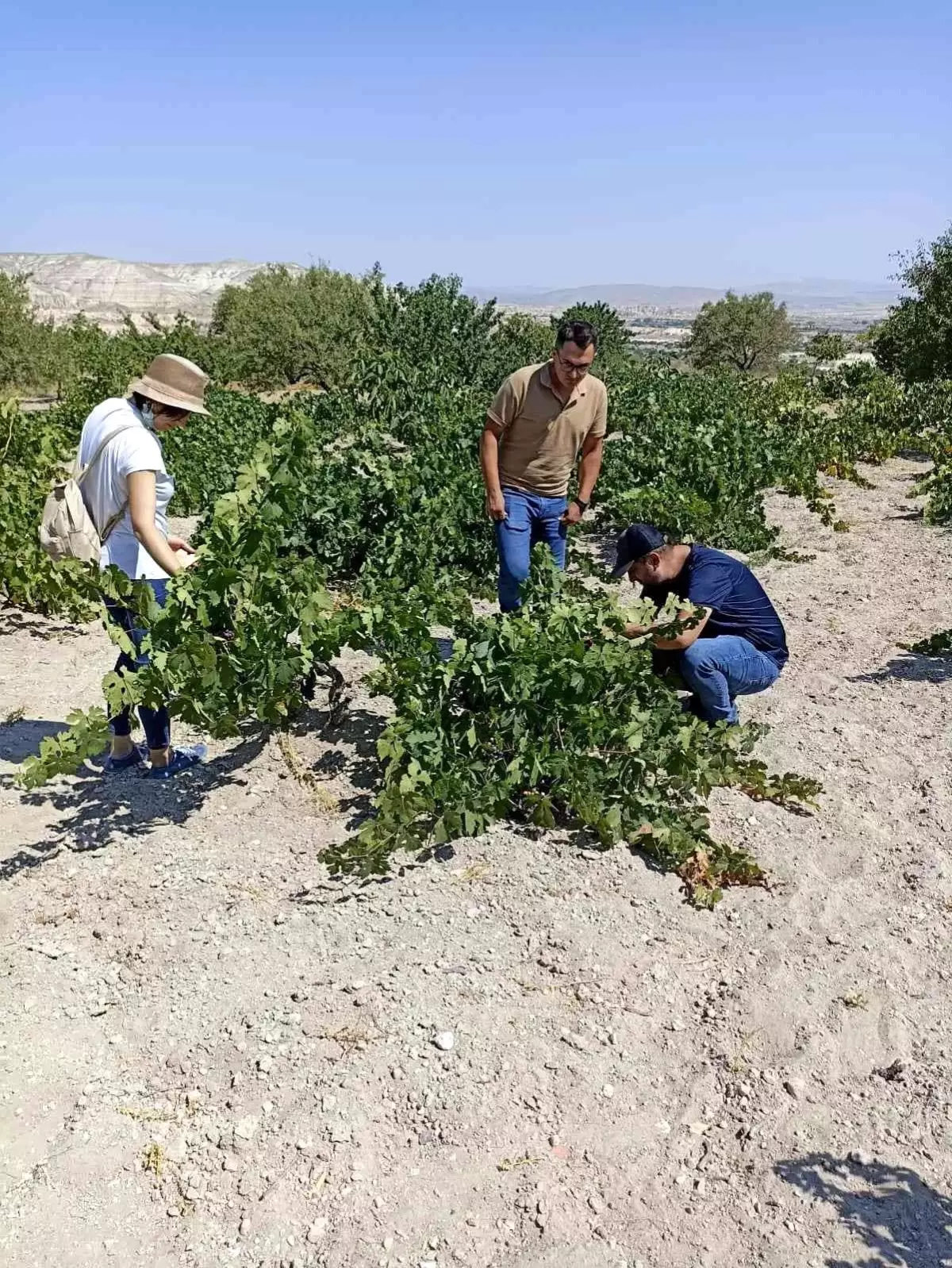 NEVÜZÜM Ürgüp\'te saha tarama çalışması yaptı