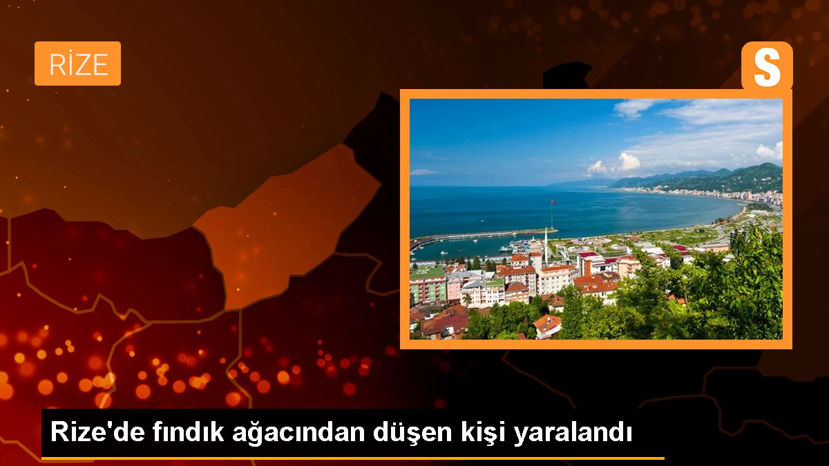 Rize\'de fındık ağacından düşen kişi yaralandı