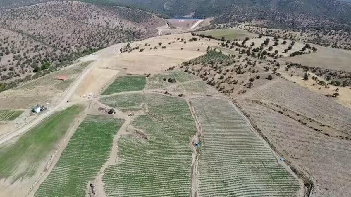 Manisa\'da sulu tarım sayesinde atıl arazilerde üretim yapılıyor