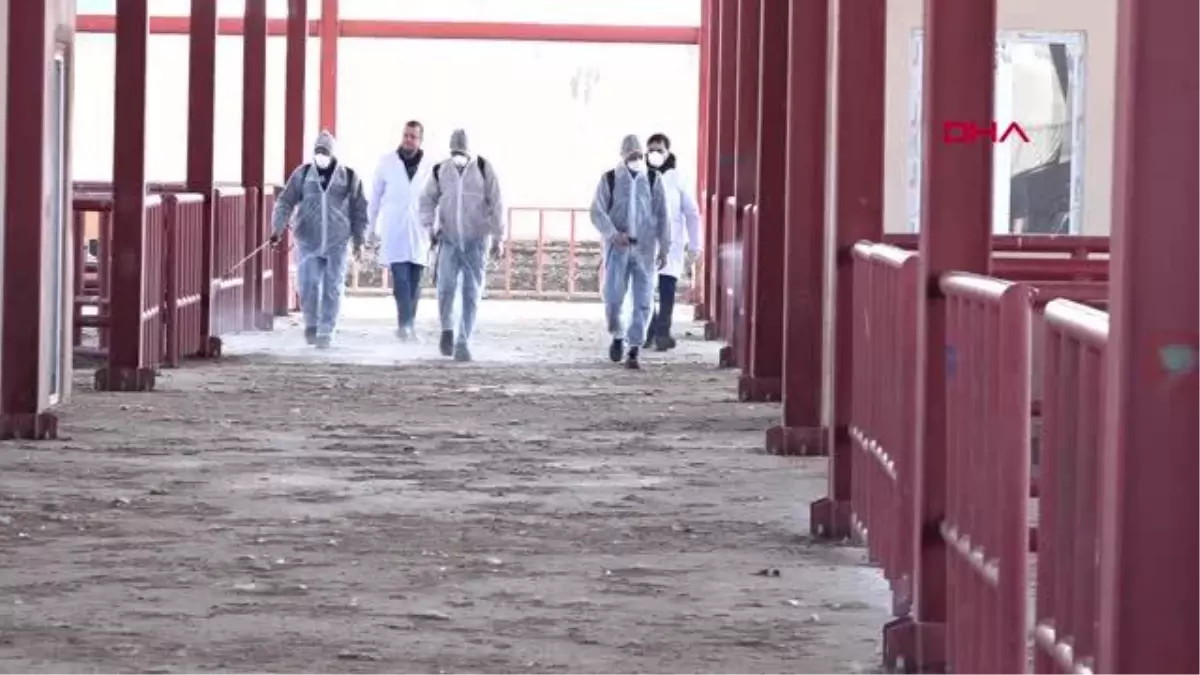 Van'da hayvan pazarı şap hastalığı nedeniyle 15 günlüğüne kapatıldı