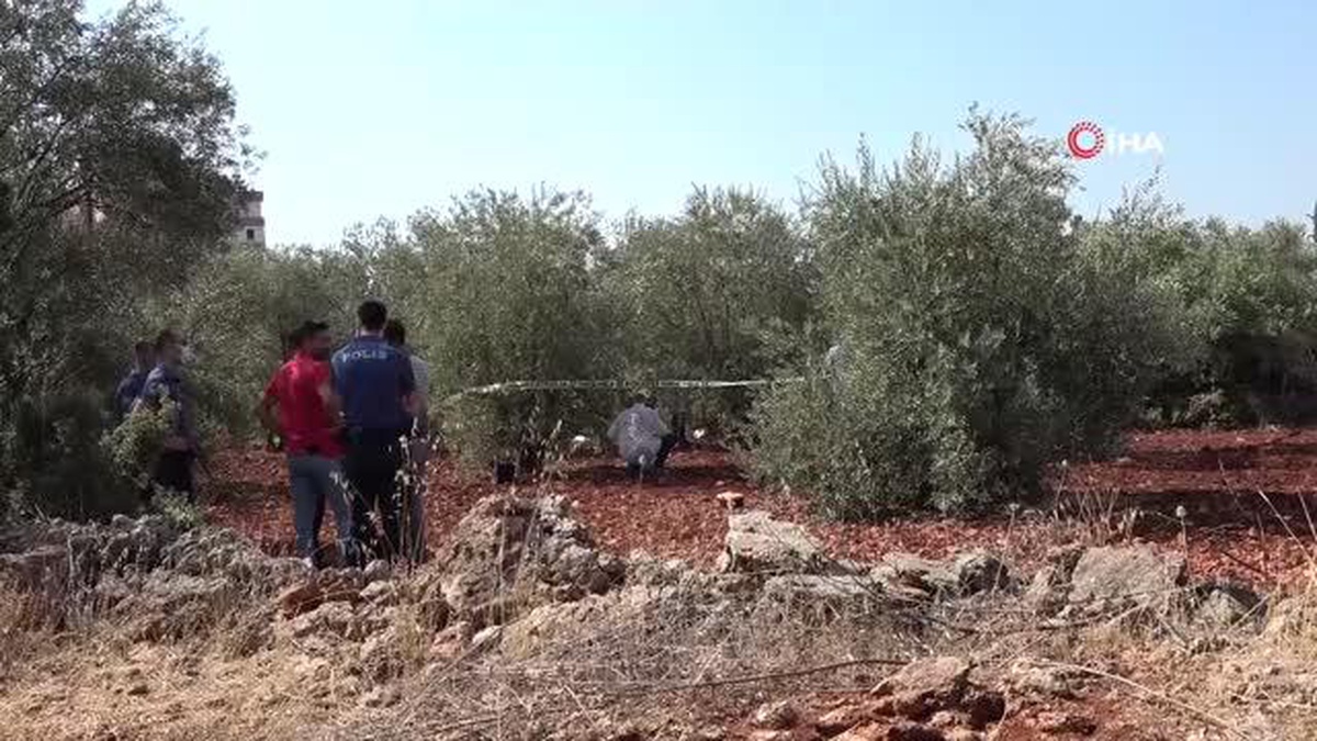 Antalya\'da zeytinlik alanda 23 yaşındaki gencin cesedi bulundu