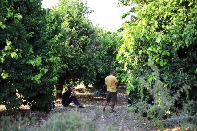 Ailesine 'ölüme gidiyorum' deyip evden çıkan gencin cansız bedeni, üniversite bahçesinde bulundu