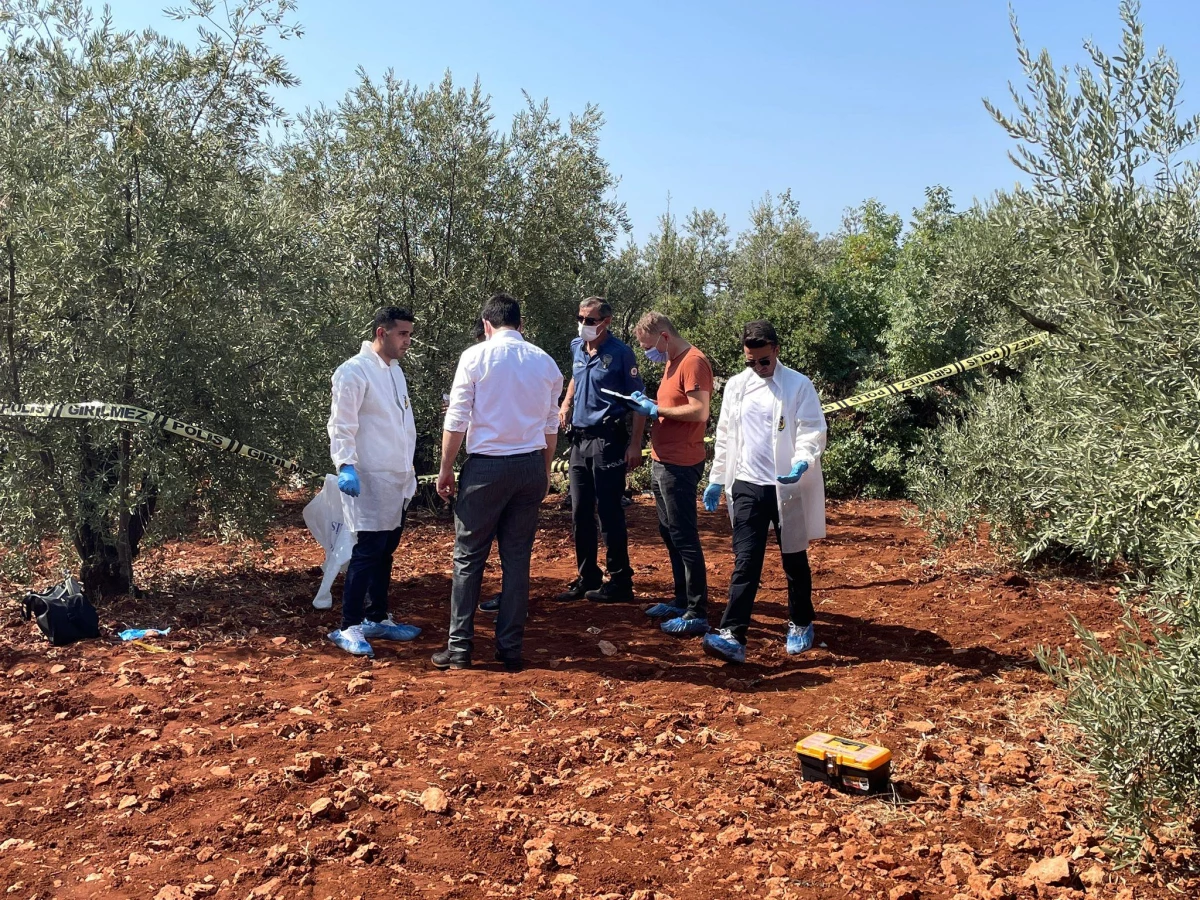 Antalya\'da zeytinlikte erkek cesedi bulundu