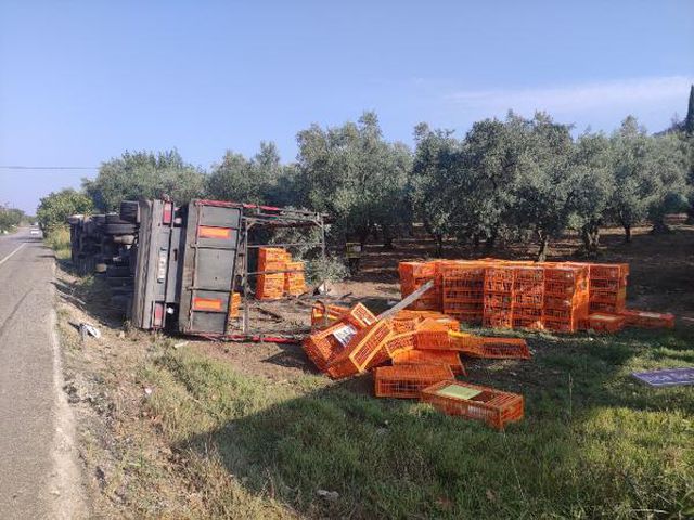 TIR devrildi, yüzlerce tavuk telef oldu