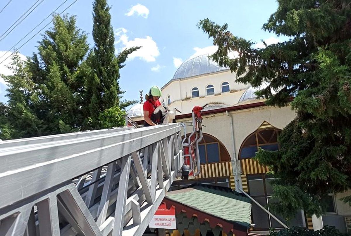 Caminin kubbesinden uçamayan leyleği itfaiye kurtardı