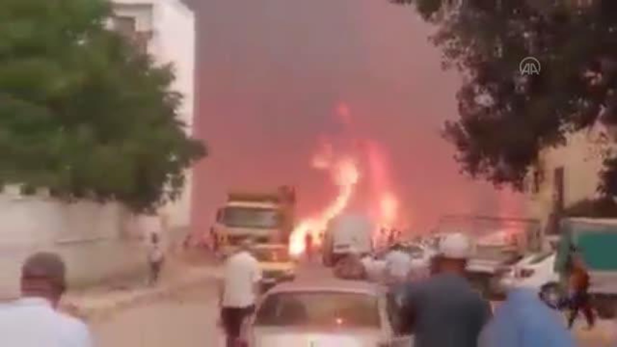 Cezayir\'deki orman yangınlarında 2 kadın hayatını kaybetti