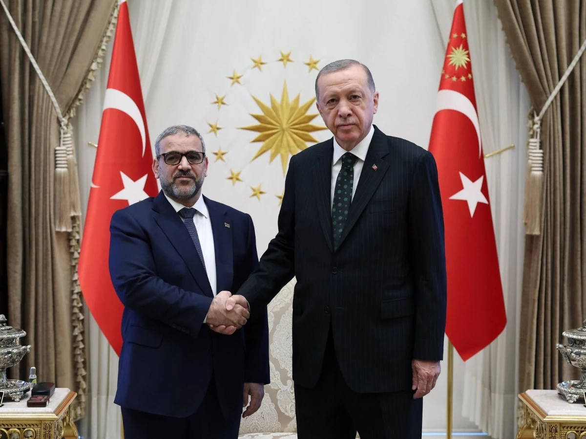 Cumhurbaşkanı Erdoğan, Libya Yüksek Devlet Konseyi Başkanı el-Mişri\'yi kabul etti