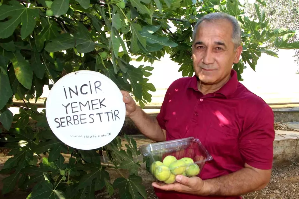 İncirlerini herkes yesin diye tabela astı, duasını şehitlere istedi