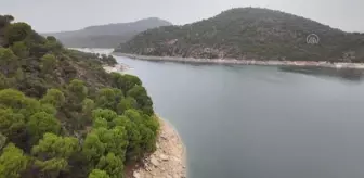 İspanya'da kuraklık sorunu her geçen gün artıyor