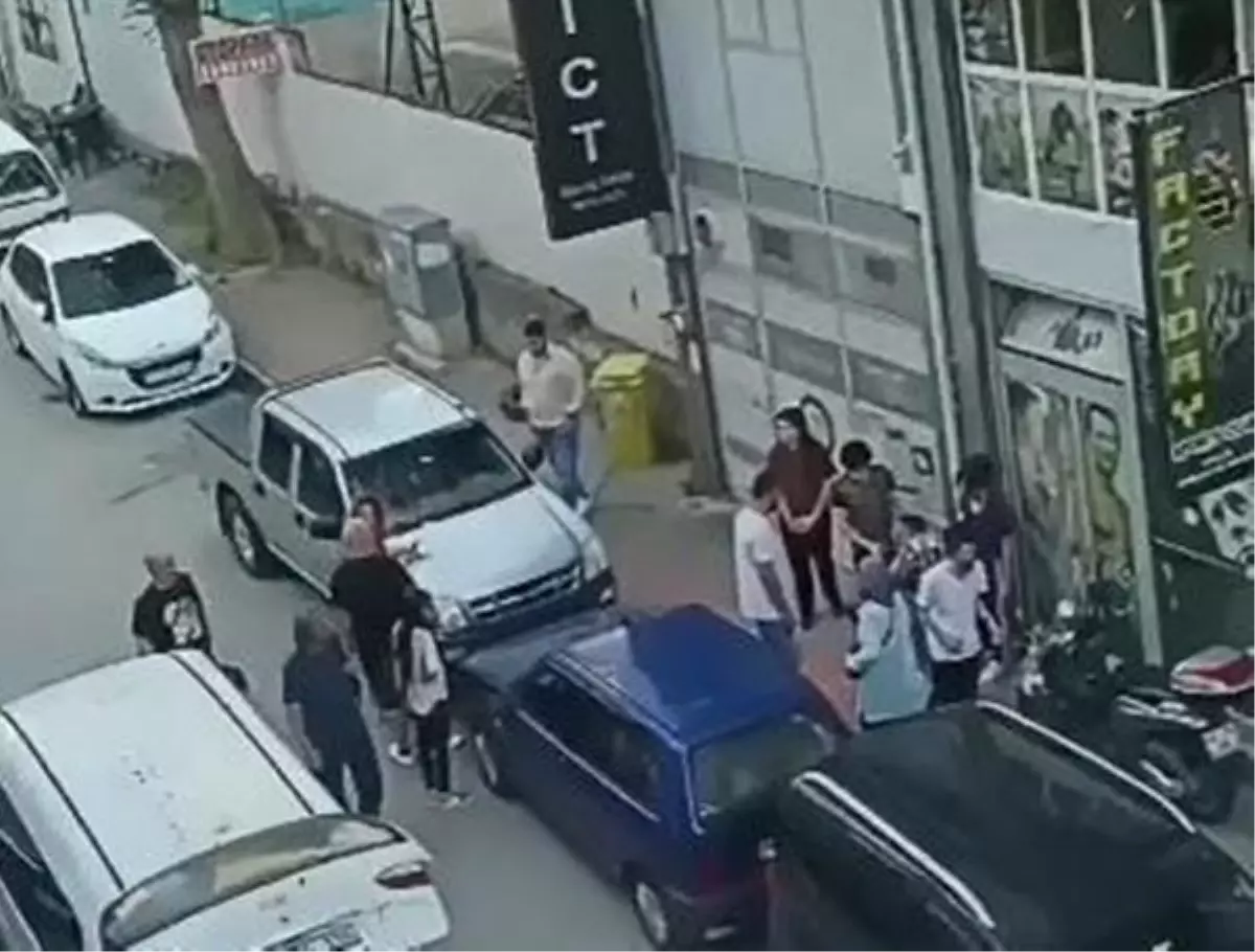 Kediye tekme kavgası