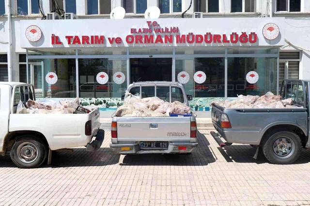 Kötü kokudan rahatsız olan vatandaşlar ihbar etti, depodan çürümüş et çıktı Kötü kokudan rahatsız olan vatandaşlar ihbar etti, depodan çürümüş et çıktı