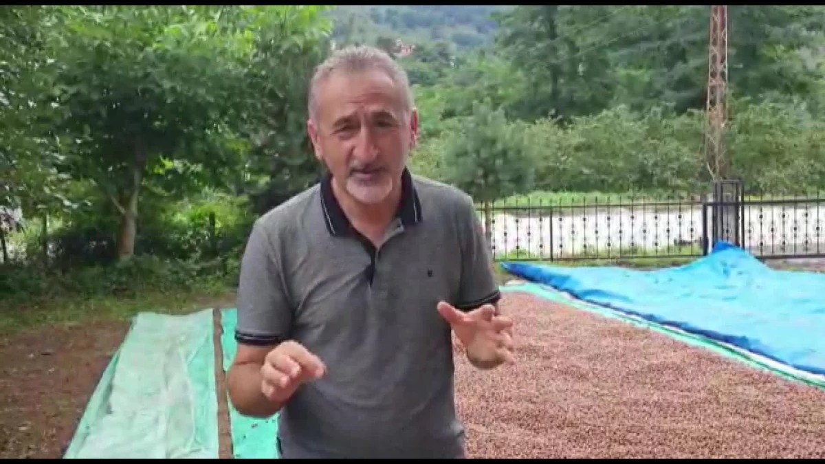 Mustafa Adıgüzel: Bu, Erdoğan\'ın Açıkladığı Son Fındık Fiyatı Olacak