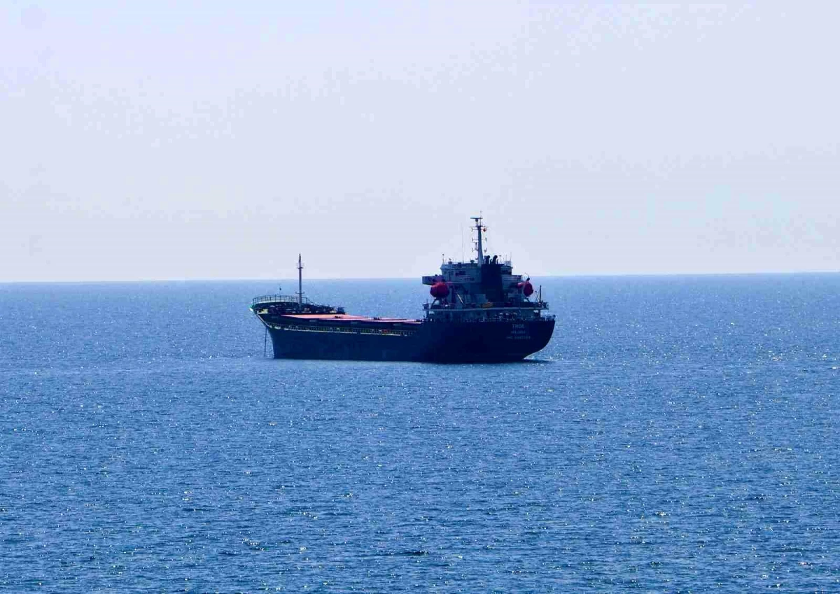 Ukrayna\'dan 3 bin ton ayçiçeği taşıyan gemi Tekirdağ\'a yanaştı