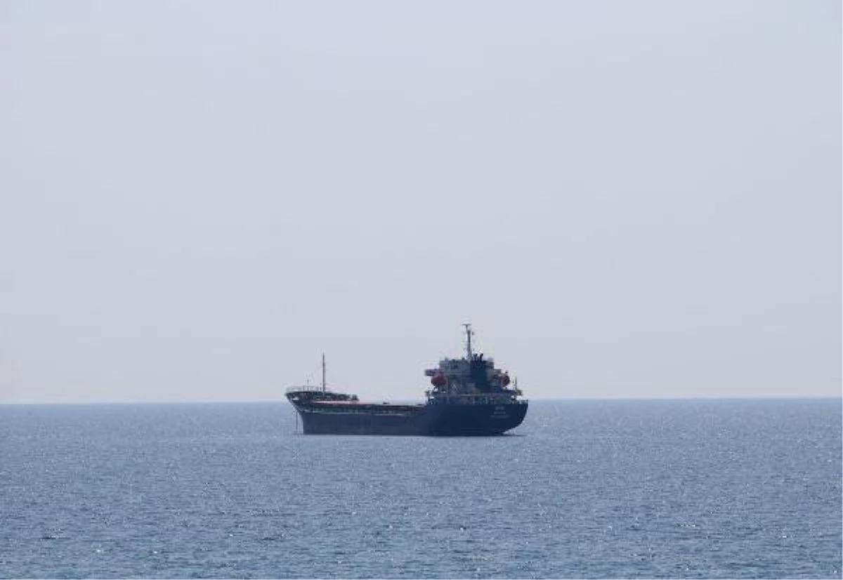 Ukrayna\'dan 3 bin ton ayçiçeği taşıyan gemi, Tekirdağ açıklarında