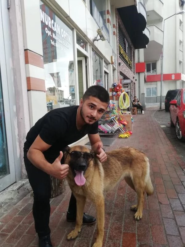 Bekçiyi ısıran köpeğe 2 gün gözaltı! Trabzon'da Gecenin Kartalları ile gençler arasında laf atma kavgası çıktı!