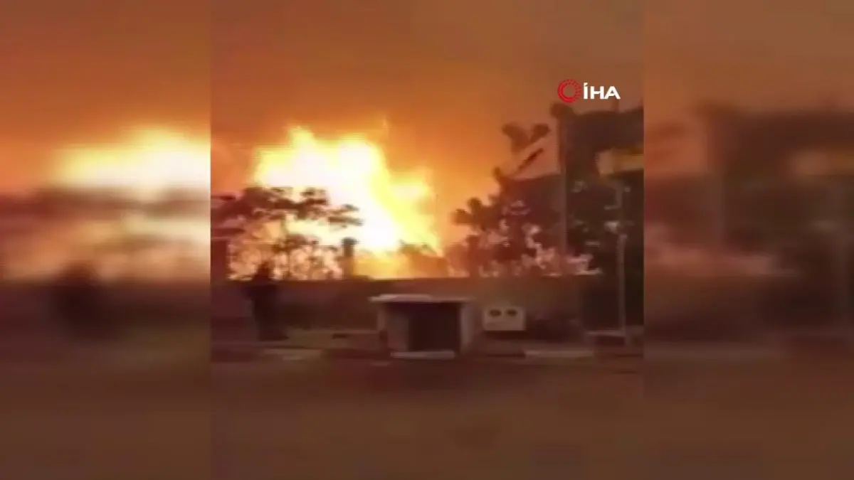 Cezayir\'deki orman yangınlarında can kaybı 38\'e yükseldi