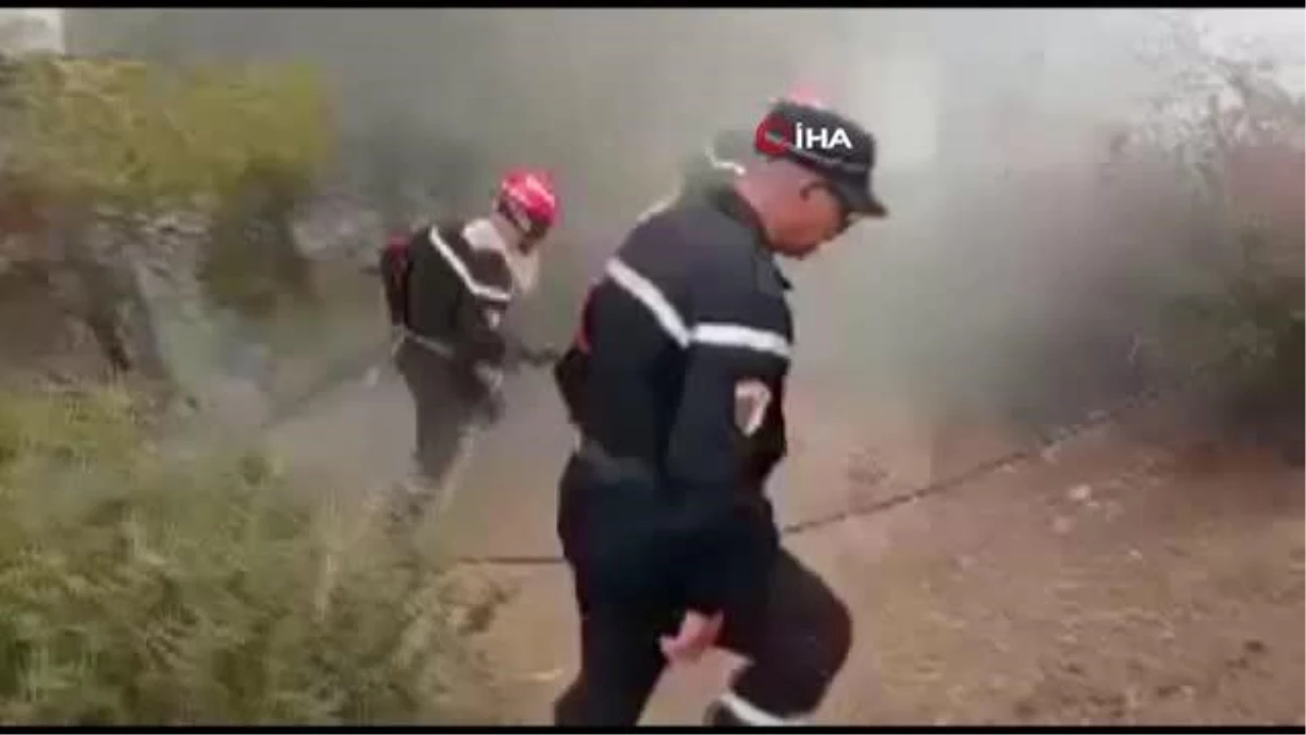 Cezayir\'deki orman yangınlarında can kaybı 41\'e yükseldi