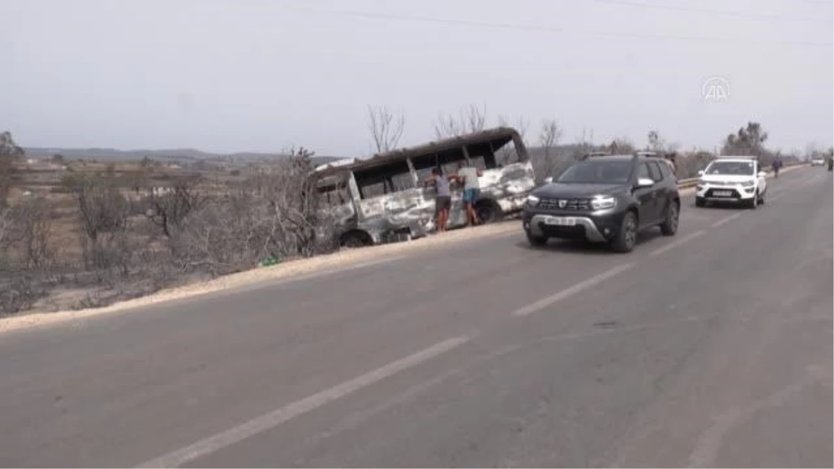 Cezayir\'deki orman yangınlarında ölü sayısı 31\'e yükseldi