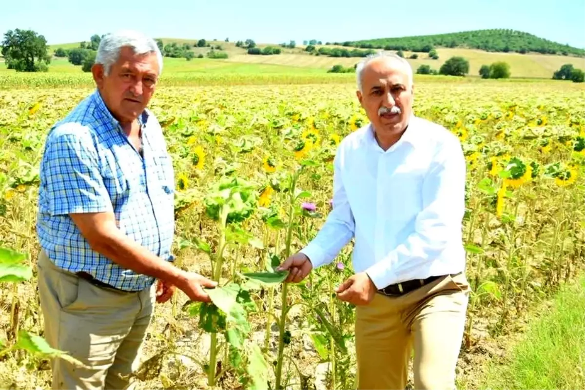 Çiftçiye sıfır faizli kredi üreticilere nefes aldıracak