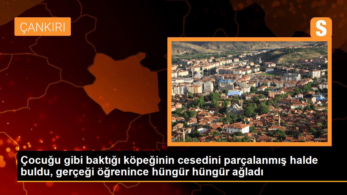 Çocuğu gibi baktığı köpeğinin cesedini parçalanmış halde buldu, gerçeği öğrenince hüngür hüngür ağladı