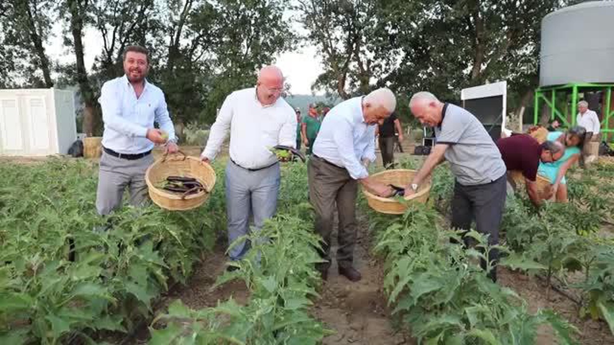 Muğla\'da hasat şenliği yapıldı
