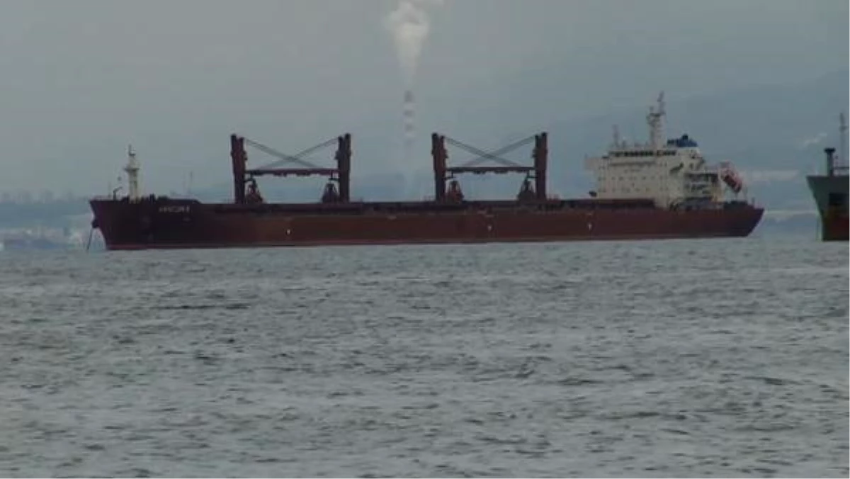 Ukrayna\'dan 48 bin 458 ton mısır taşıyan gemi, İskenderun Körfezi\'nde