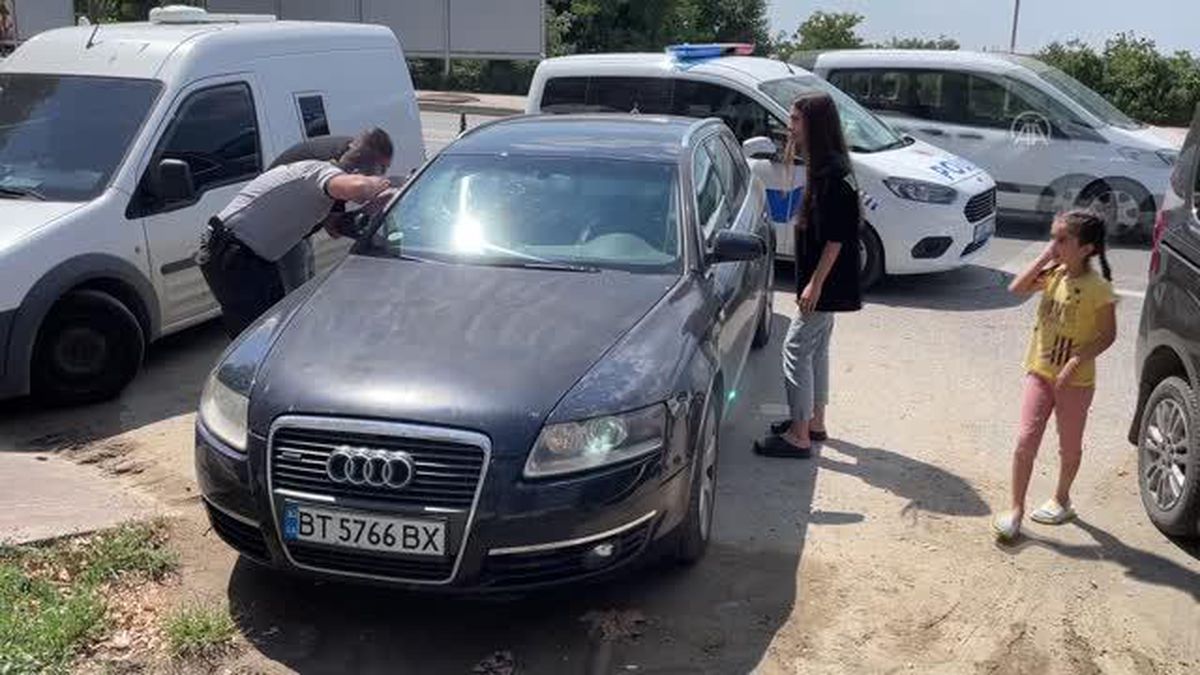 Edirne\'de Ukraynalı çiftin araçta bıraktığı köpek havasızlıktan telef oldu
