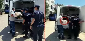 2 yaşındaki bebeğini bıçaklayarak öldürdü: İçimde biri var, kızımın hayatına sebep oldu