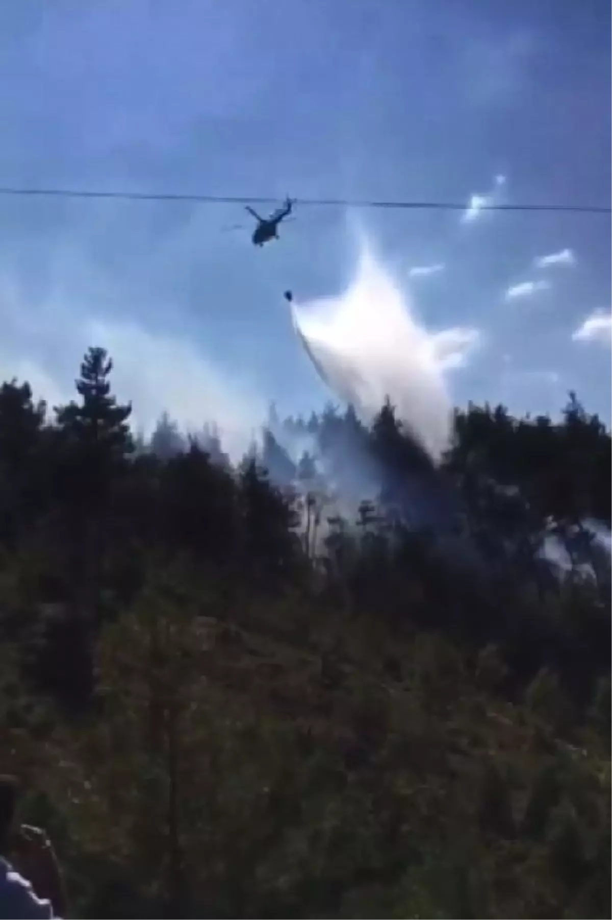 Bursa'da orman yangını