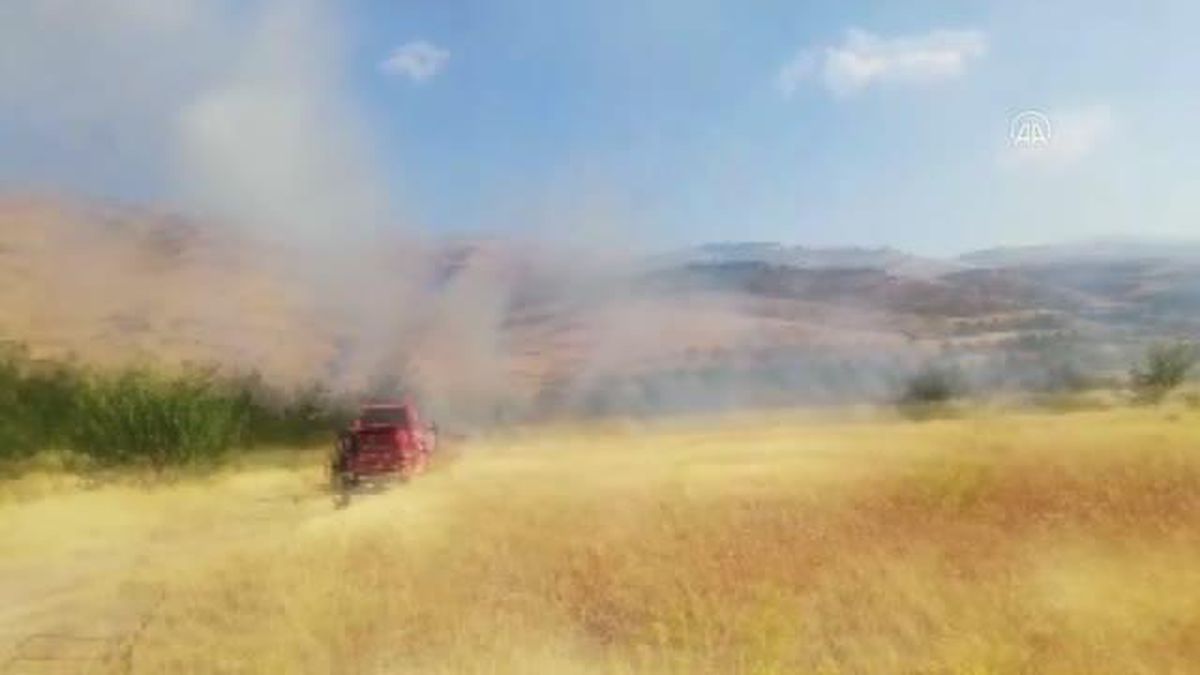 Malatya\'da çıkan yangında 150 dönüm ormanlık alan zarar gördü