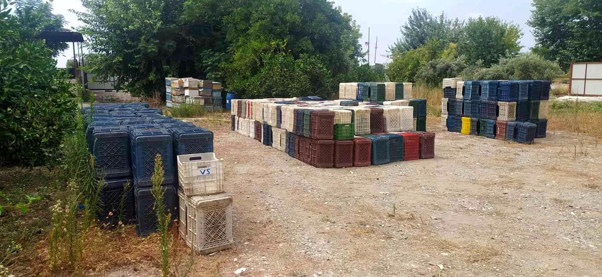 Hatay\'da 963 adet narenciye kasası çalan zanlı yakalandı