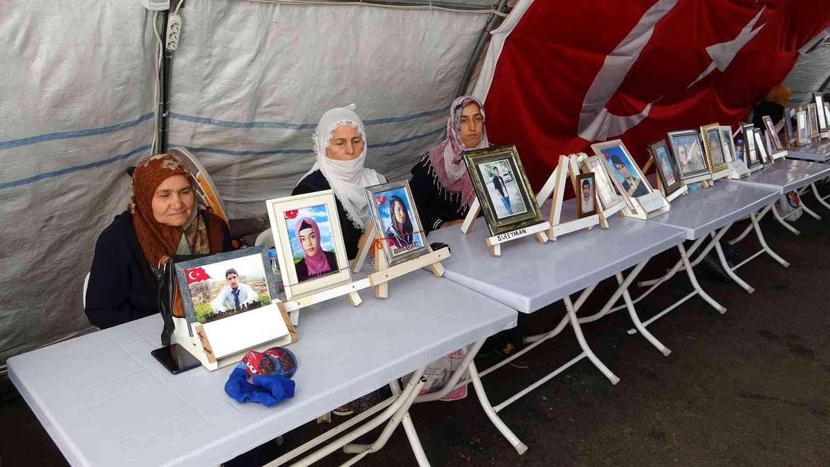 HDP\'li belediyede staj yaptı, soluğu dağda aldı: Aile, partiye seslendi