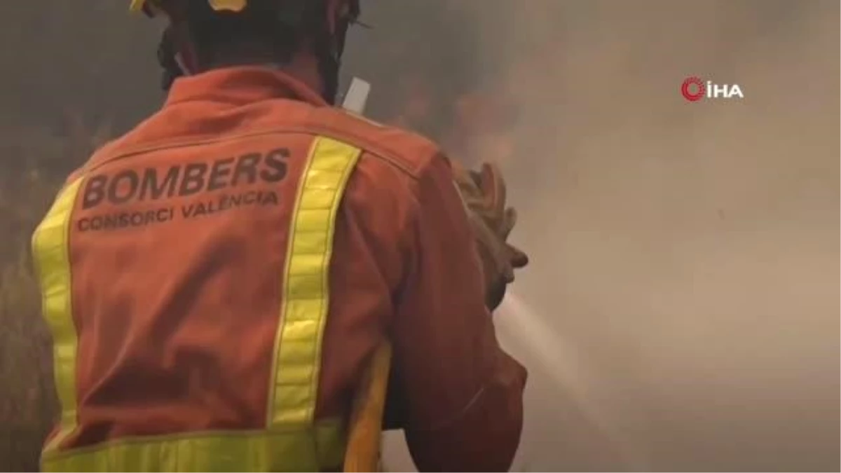 İspanya\'nın Valencia bölgesindeki yangında 19 bin hektar alan kül oldu