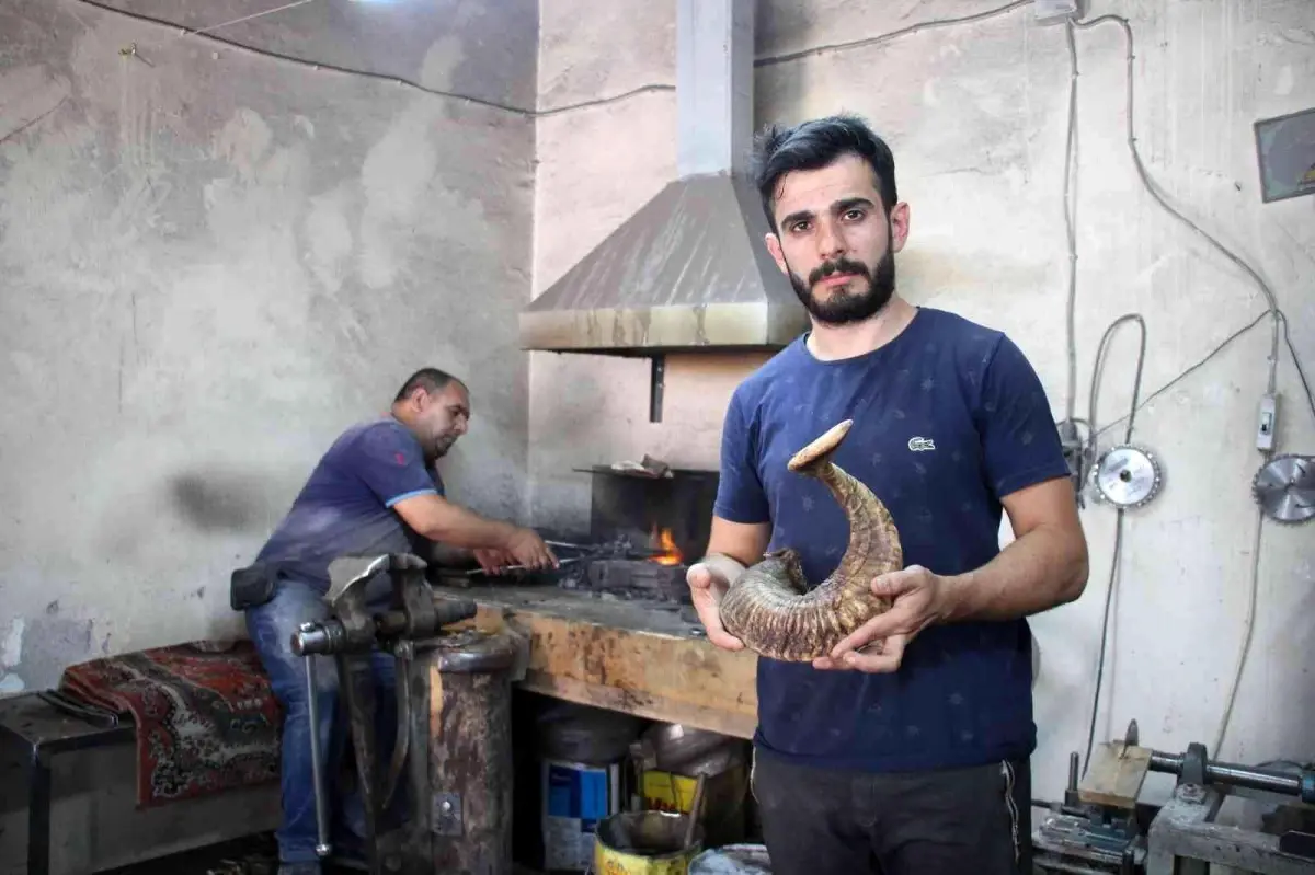 Koç boynuzu azaldı, üretim daraldı