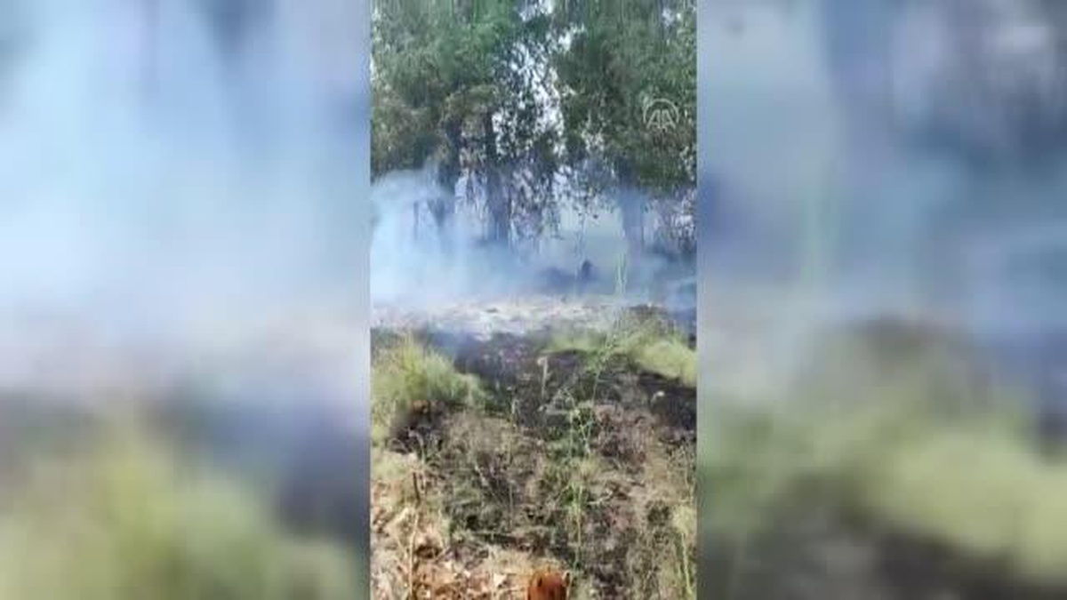 Adana\'da örtü ve orman yangını kontrol altına alındı