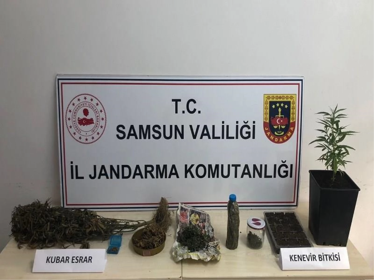 Samsun\'da uyuşturucu operasyonlarında 32 zanlı yakalandı