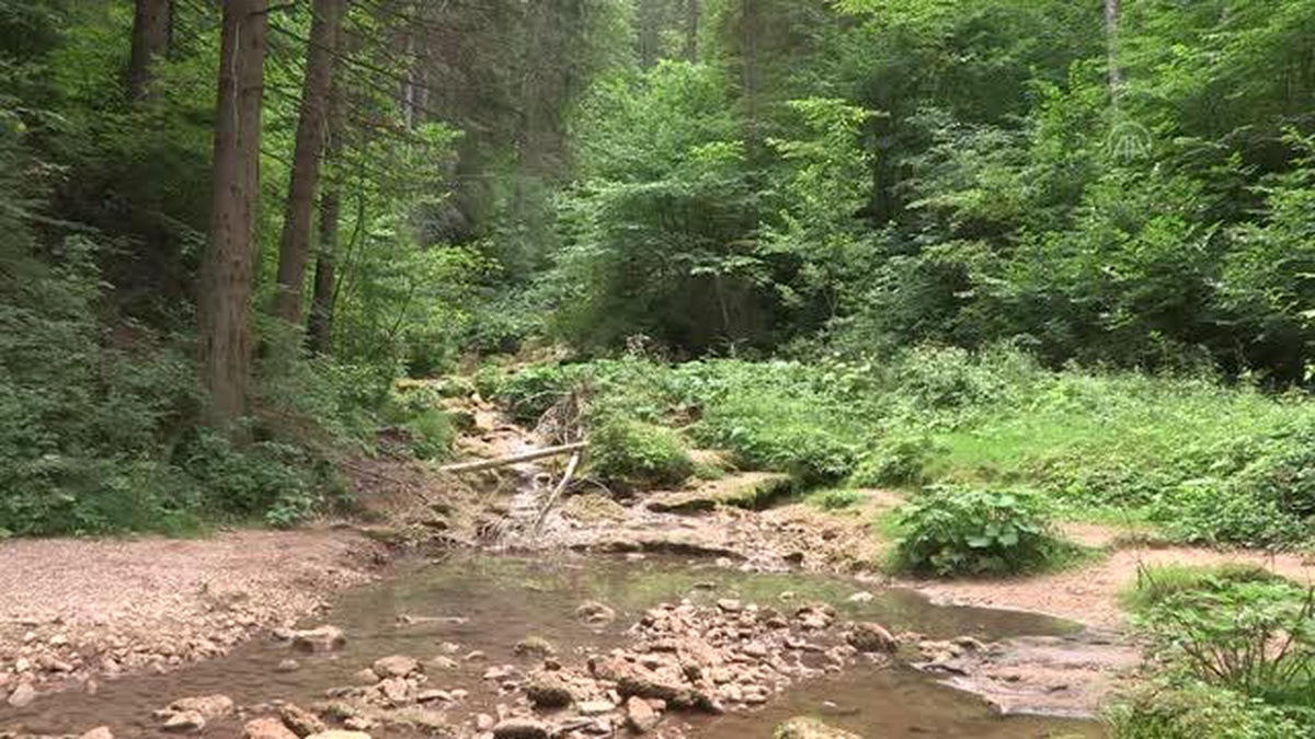 Bosna Hersek\'teki Miljacka Nehri\'nin kaynağı kurumak üzere