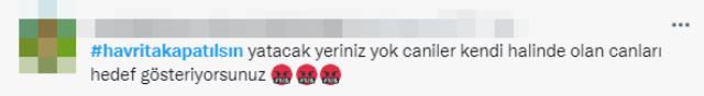 Sokakta yaşayan köpekleri hedef gösteren uygulama sosyal medyayı ayağa kaldırdı
