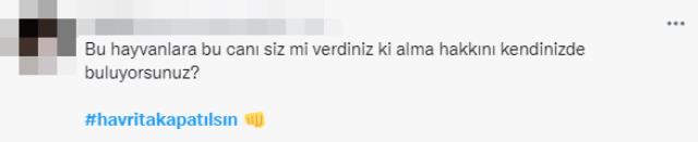 Sokakta yaşayan köpekleri hedef gösteren uygulama sosyal medyayı ayağa kaldırdı