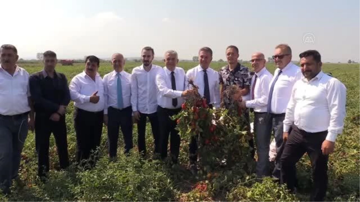 TDP Genel Başkanı Sarıgül, Karacabey\'de domates üreticileriyle bir araya geldi Açıklaması