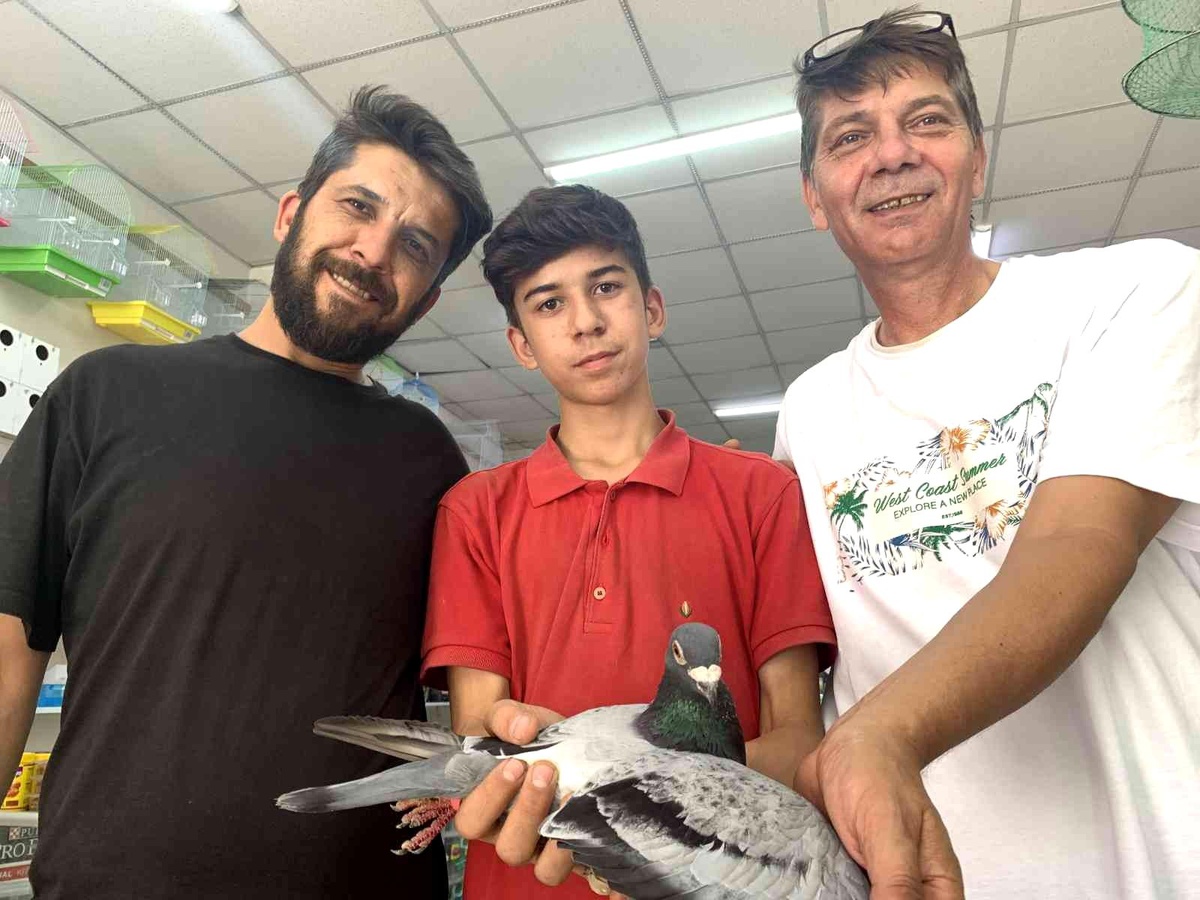 8 posta güvercininden 7\'si Eskişehir\'e dönmeyi başardı