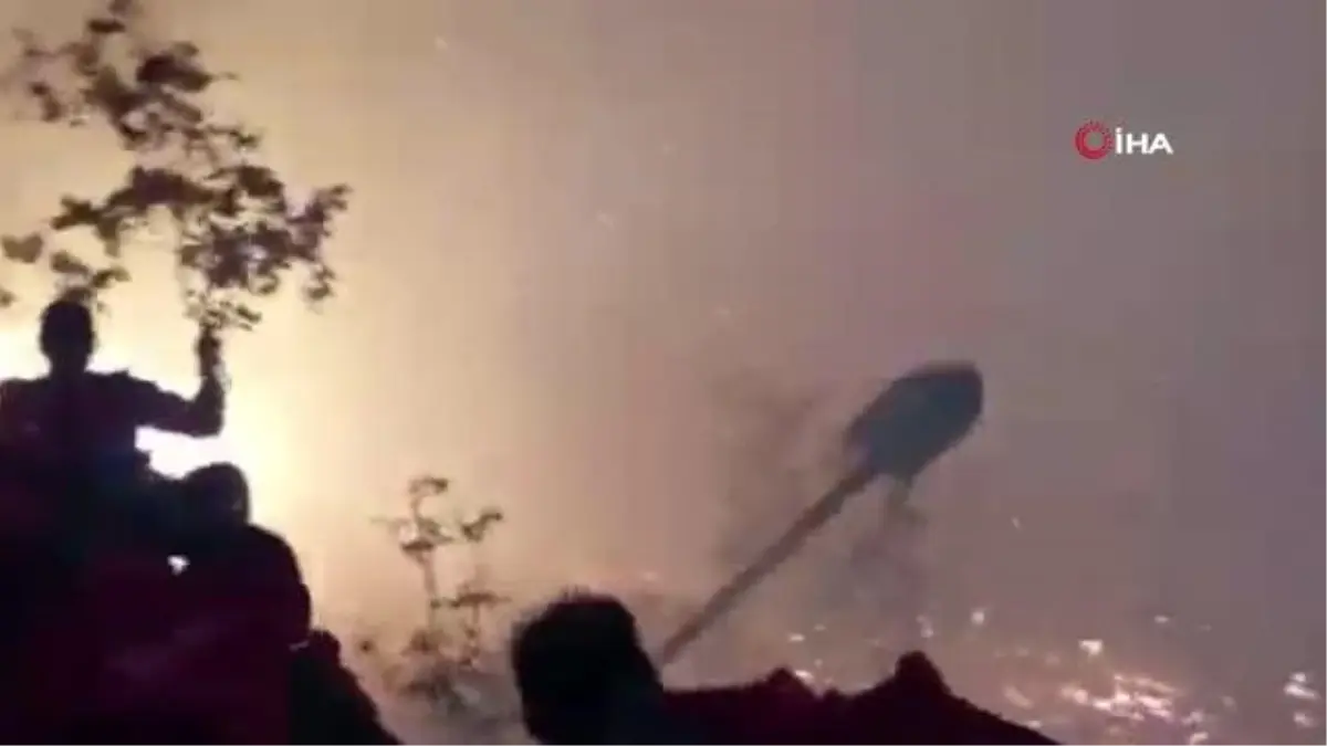 Azerbaycan'daki orman yangınlarında 5 bin hektarlık alan küle döndü