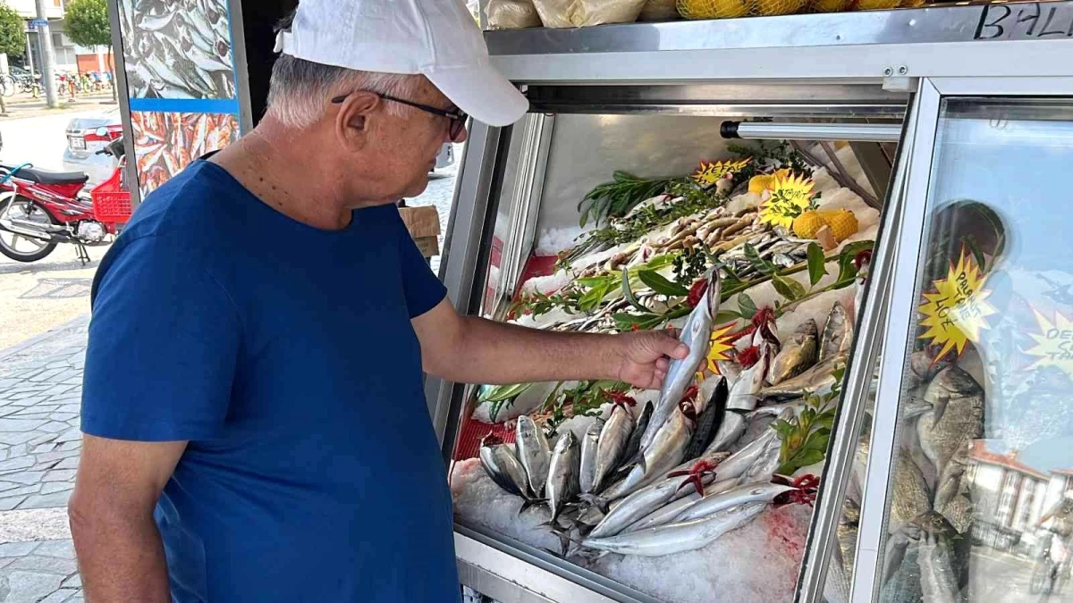 Balıkseverler bu sezon hamsi ve palamuda doyacak