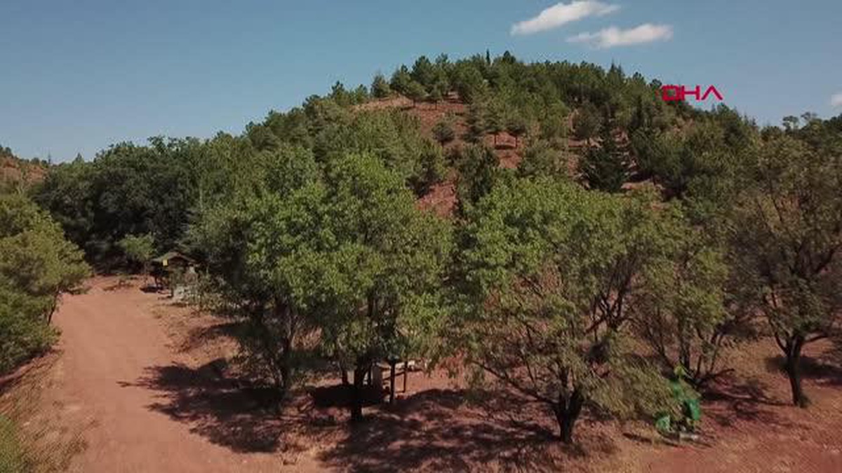 Kırıkkale\'de ormanlarında dronlu denetim