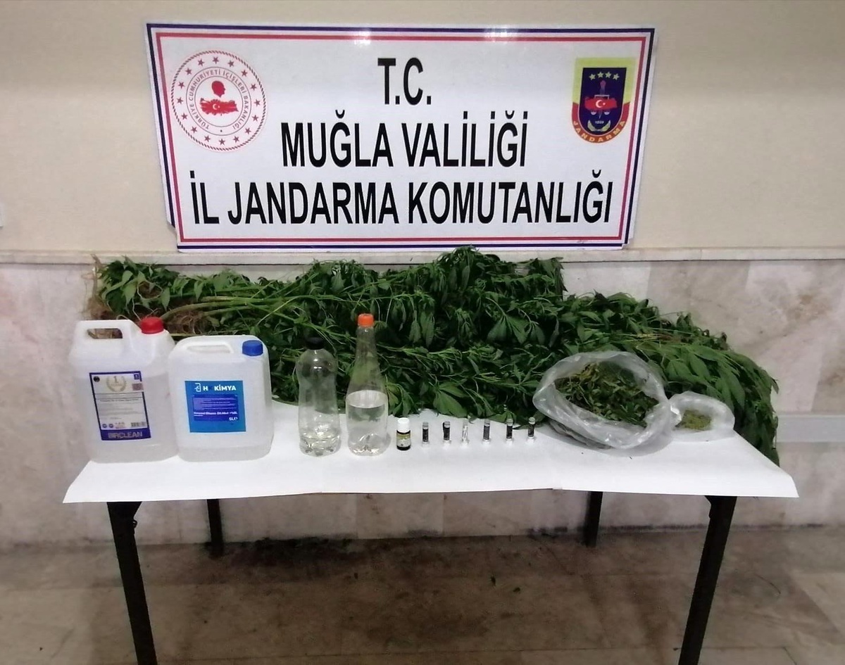 Milas\'ta kaçak içki, kenevir ve uyuşturucu madde ele geçirildi