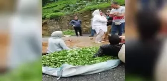 Rize'de tur midibüsü devrildi: 24 yaralı (2)